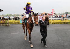 Poundland Handicap Hurdle.