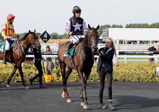 Poundland Novices H'cap Chase.