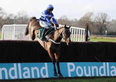 Neil The Legend (Nico de Boinville)