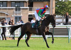 Poundland Handicap Hurdle.