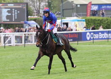 Poundland Handicap Hurdle.