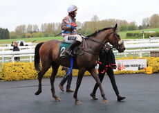 Racing TV.com Handicap Hurdle