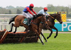 Poundland Handicap Hurdle.