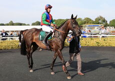 Poundland Handicap Hurdle.