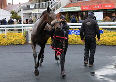 Racing TV.com Handicap Hurdle