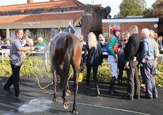 Poundland Handicap Hurdle.