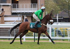 South West Syndicate Mares' Nov Chase.