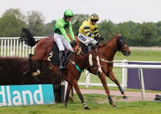 South West Syndicate Mares' Nov Chase.