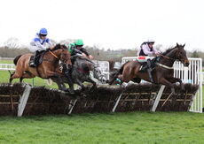 South West Syndicate Mares' Nov Chase.