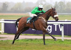 Sandymount Rose (Harry Reed)