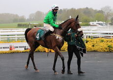South West Syndicate Mares' Nov Chase.
