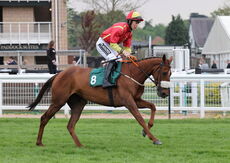 Poundland 'Mares' Handicap Hurdle.