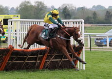 Jersey Lady (Jonathan Burke)