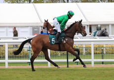 Racing TV H'cap Hurdle.