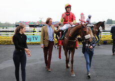Poundland 'Mares' Handicap Hurdle.