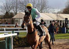 Poundland 'Mares' Handicap Hurdle.