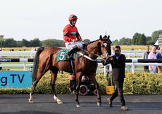 Logicor Handicap Chase.