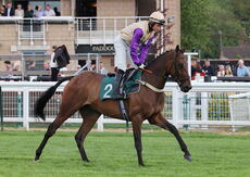 Professor John Robert Fyfe Bolton OBE Nov Hurdle