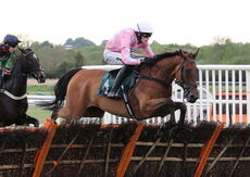 Professor John Robert Fyfe Bolton OBE Nov Hurdle
