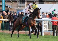 Poundland Open NH Flat Race.