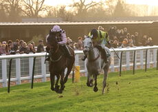 Poundland Open NH Flat Race.