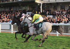 Poundland Open NH Flat Race.