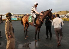 Poundland Open NH Flat Race.