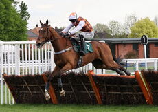 The Plimsole Line (Rex Dingle)