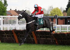 Hermes Le Gris (Harry Bannister)