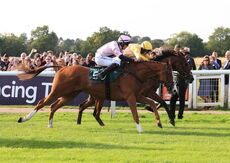 Happy 50th Julian Watson Cond Jockeys' H'cap Chase.