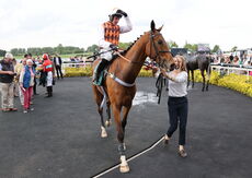 Racing TV "NH" Maiden Hurdle
