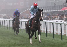 Racing TV Novices' H'cap Hurdle