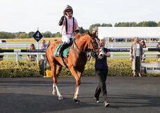 Happy 50th Julian Watson Cond Jockeys' H'cap Chase.