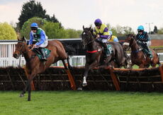 John Temple Memorial Handicap Hurdle