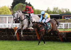 John Temple Memorial Handicap Hurdle