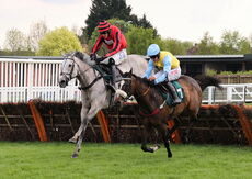 John Temple Memorial Handicap Hurdle