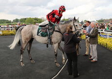 John Temple Memorial Handicap Hurdle