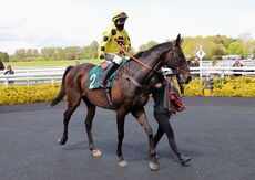 NAF William Eborall Maiden Hurdle