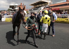 NAF William Eborall Maiden Hurdle