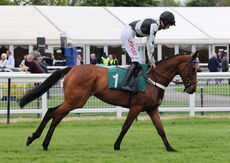 Peter Allsopp Heavenly Birthday Mares' Nov Chase