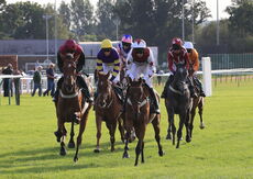Poundland Mares' Open NH Flat Race.