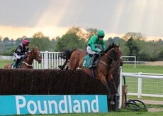 Peter Allsopp Heavenly Birthday Mares' Nov Chase