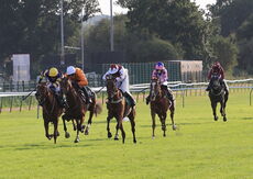 Poundland Mares' Open NH Flat Race.