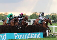 Peter Allsopp Heavenly Birthday Mares' Nov Chase