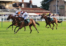 Poundland Mares' Open NH Flat Race.