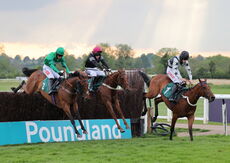 Peter Allsopp Heavenly Birthday Mares' Nov Chase