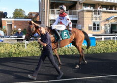 Poundland Mares' Open NH Flat Race.
