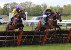 The Coronation Handicap Hurdle