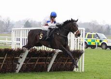 Wigley Group Hampton Novices' Chase.