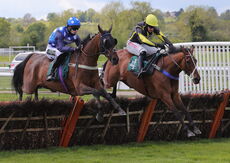 The Coronation Handicap Hurdle